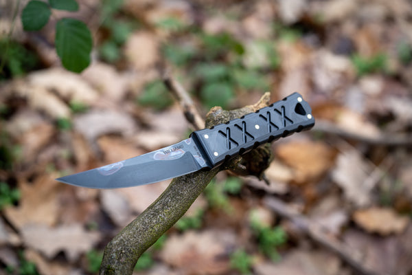 DSC02775_grande.jpg?v=1675243876