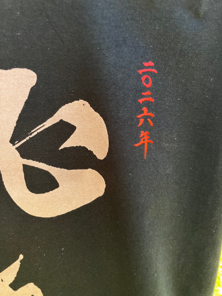 Hissatsu (必殺) T-Shirt 2026 Edition